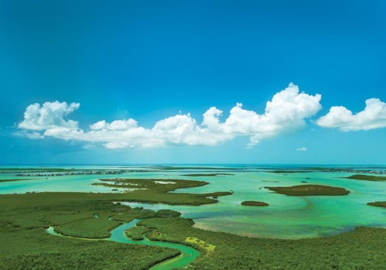 A green water and blue sky