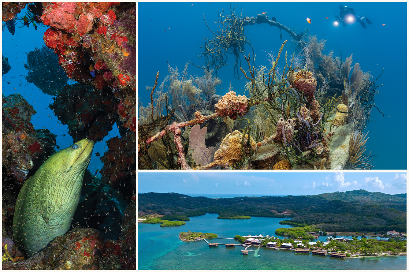 CoCo View Resort diving collage